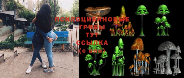 спиды Алексеевка