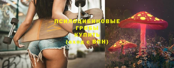 спиды Алексеевка
