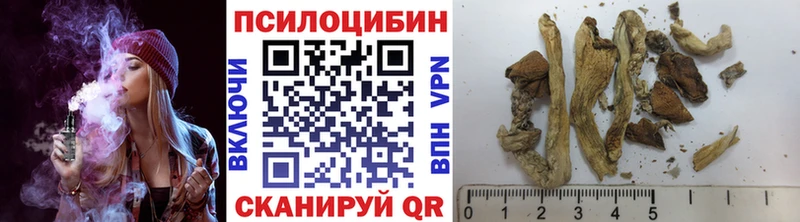 наркотики  Чебаркуль  Псилоцибиновые грибы ЛСД 