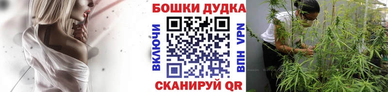даркнет состав  купить закладку  Чебаркуль  Канабис сатива 